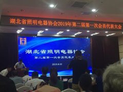 2019湖北省照明协会第二届第一次会员代表大会